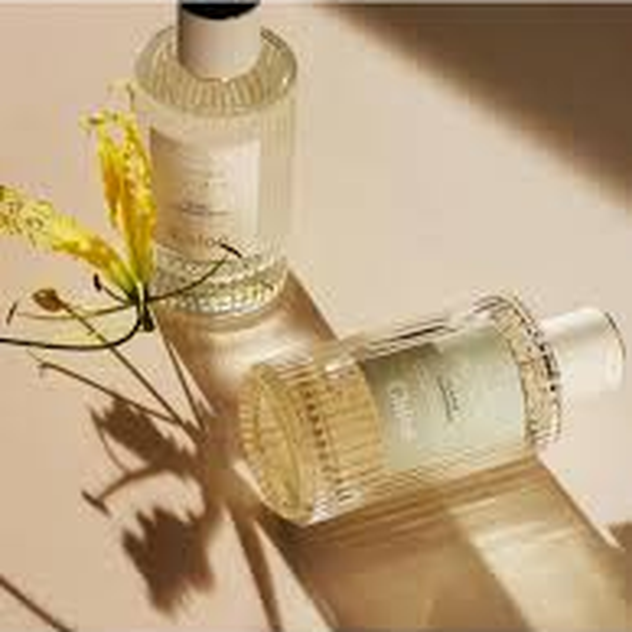 Chloe Atelier Des Fleurs Herba Mimosa EDP fragrance details image
