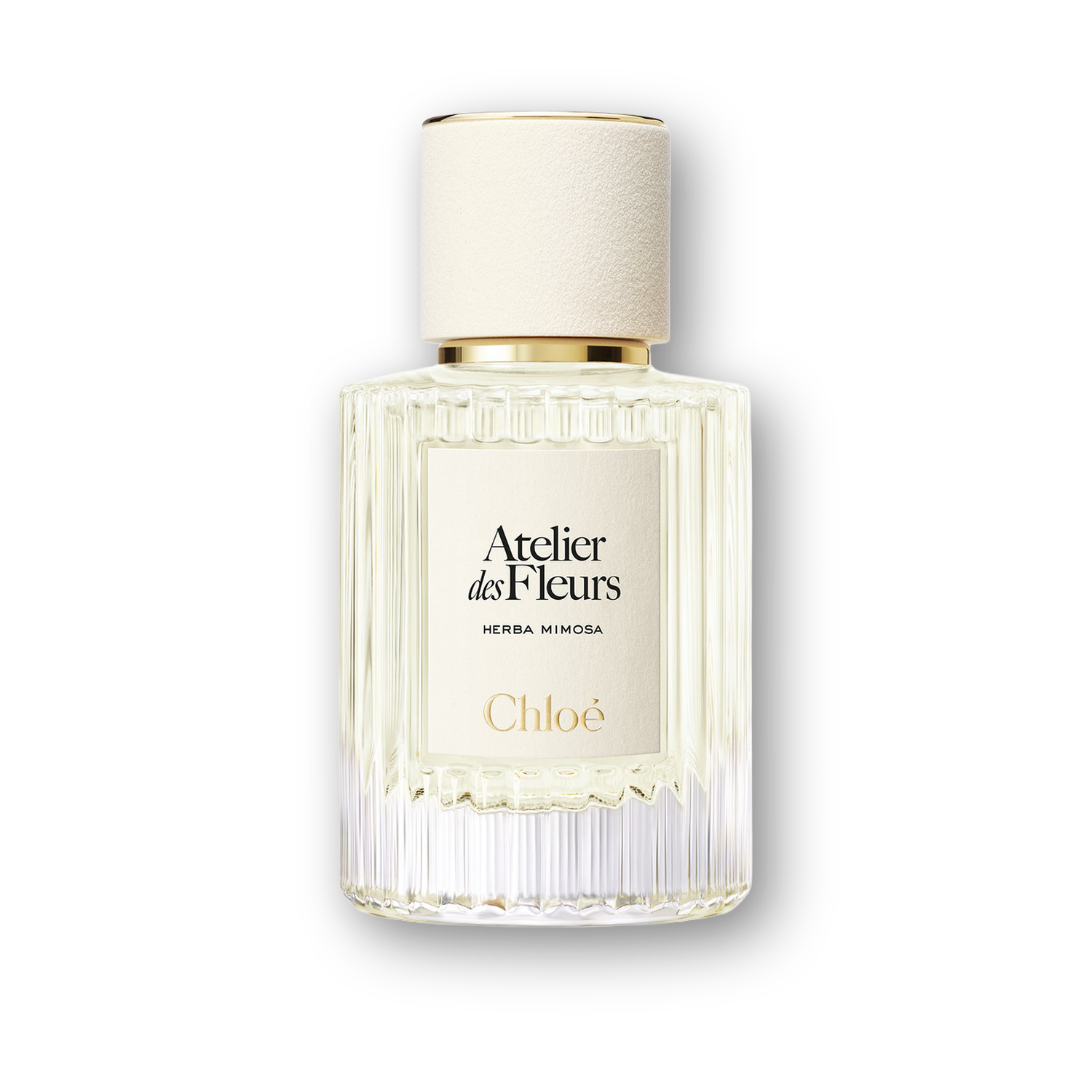 Chloe Atelier Des Fleurs Herba Mimosa EDP hero image