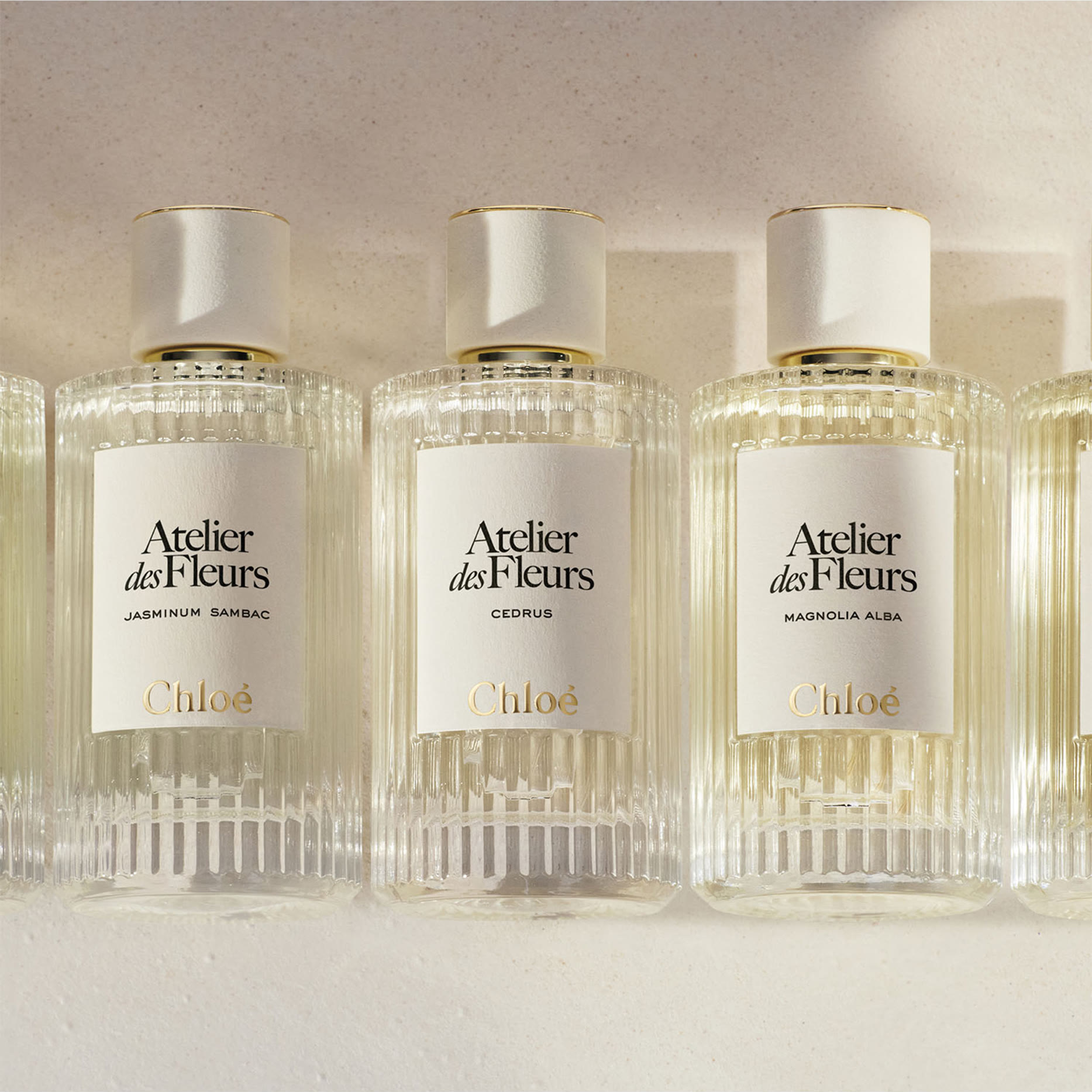 Chloe Atelier Des Fleurs Hysope EDP fragrance details image