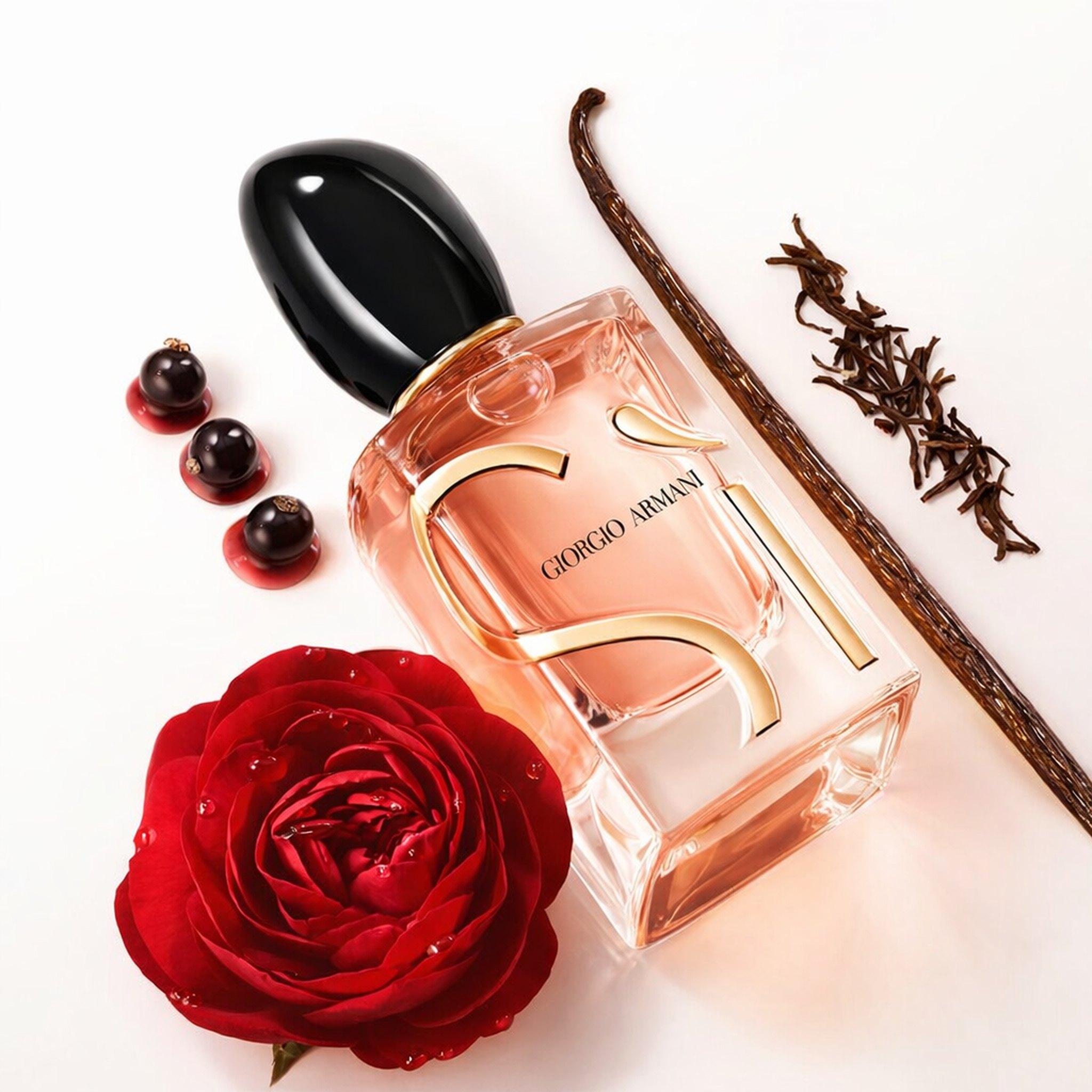 Giorgio Armani Si Parfum For Women fragrance notes image