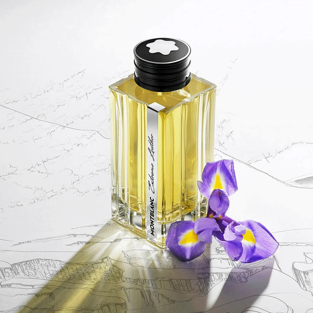 Mont Blanc Extrem Leather Smoked Iris Travel Set