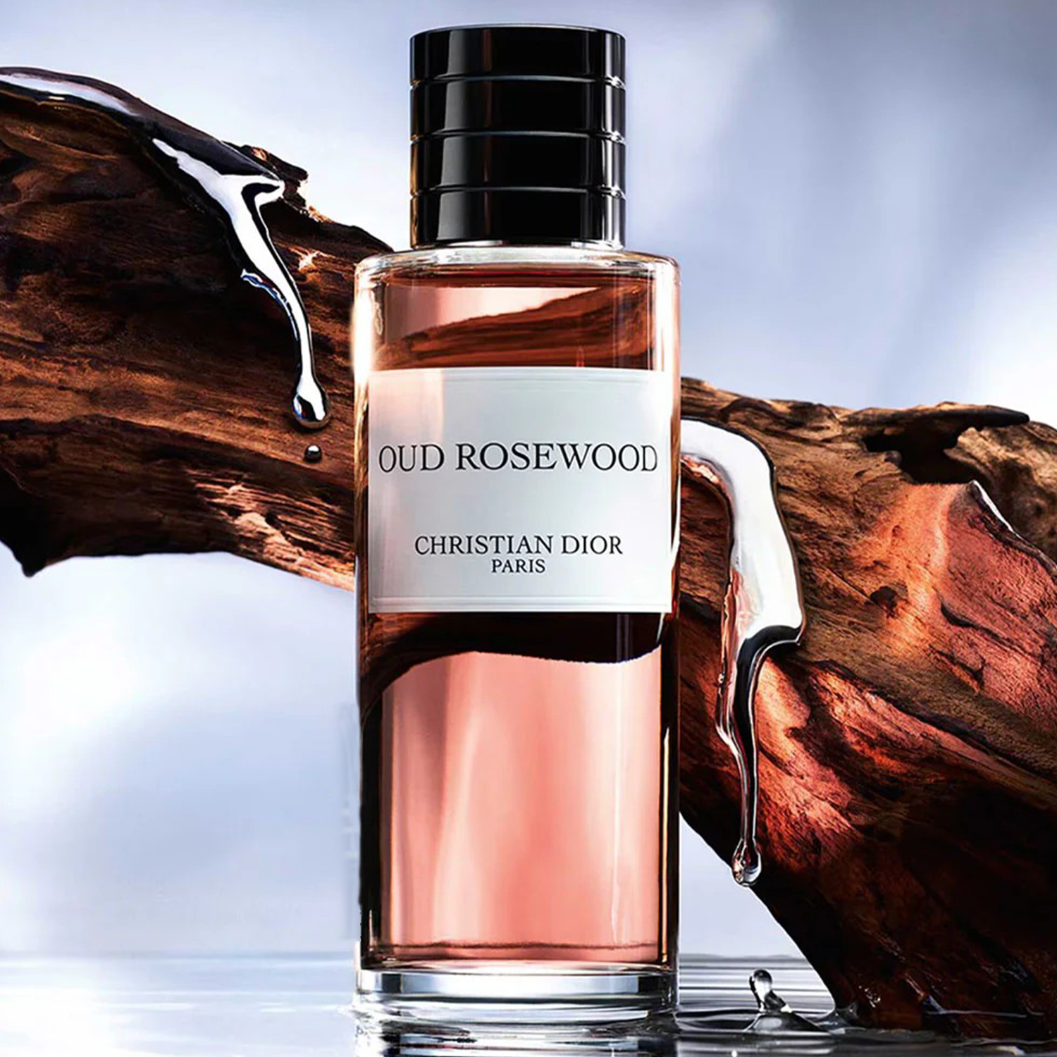 Christian Dior Oud Rosewood EDP