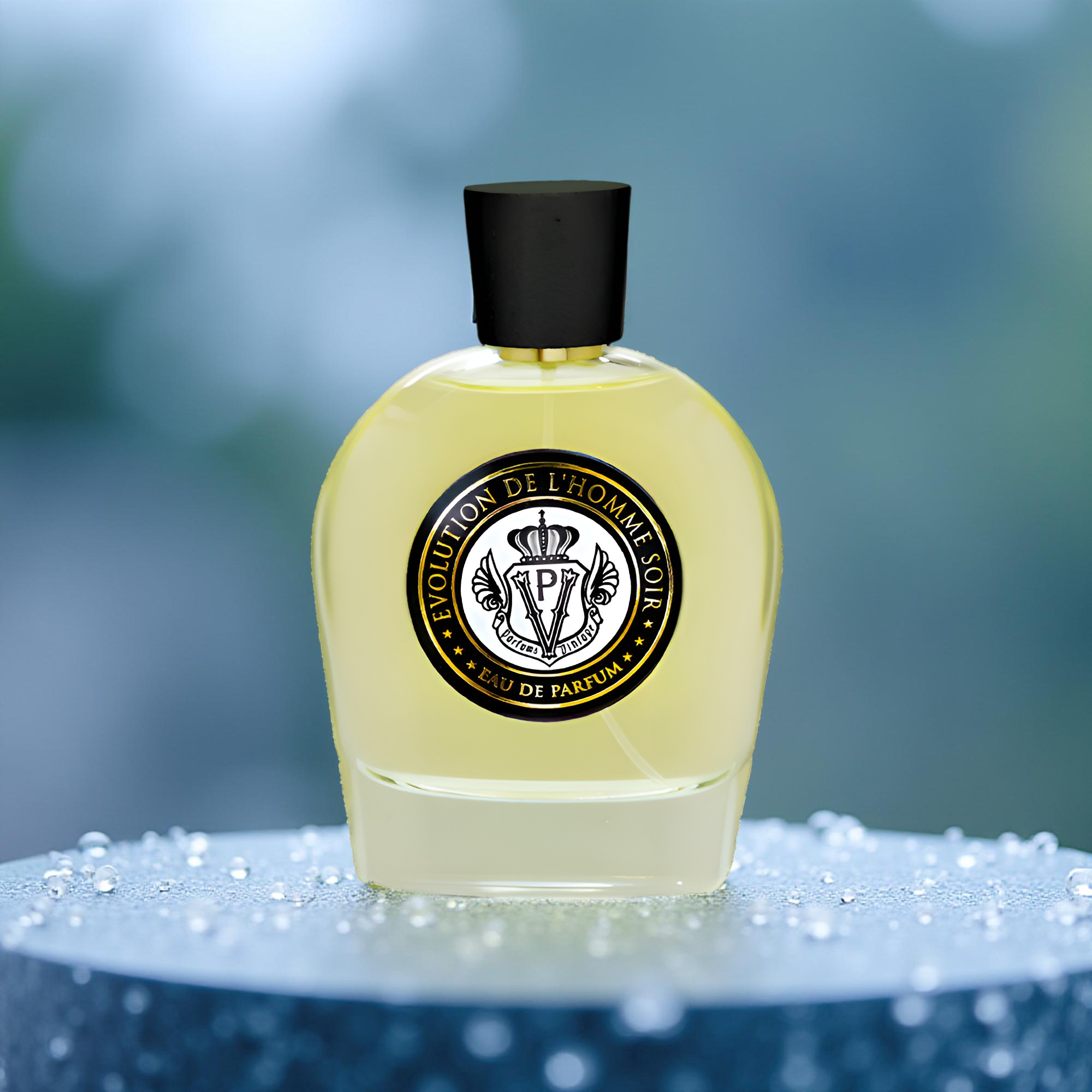 Parfums Vintage Evolution De L'homme Soir EDP