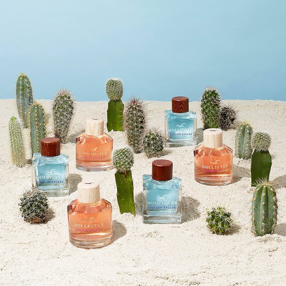 Hollister Canyon Escape For Him EDT | My Perfume Shop