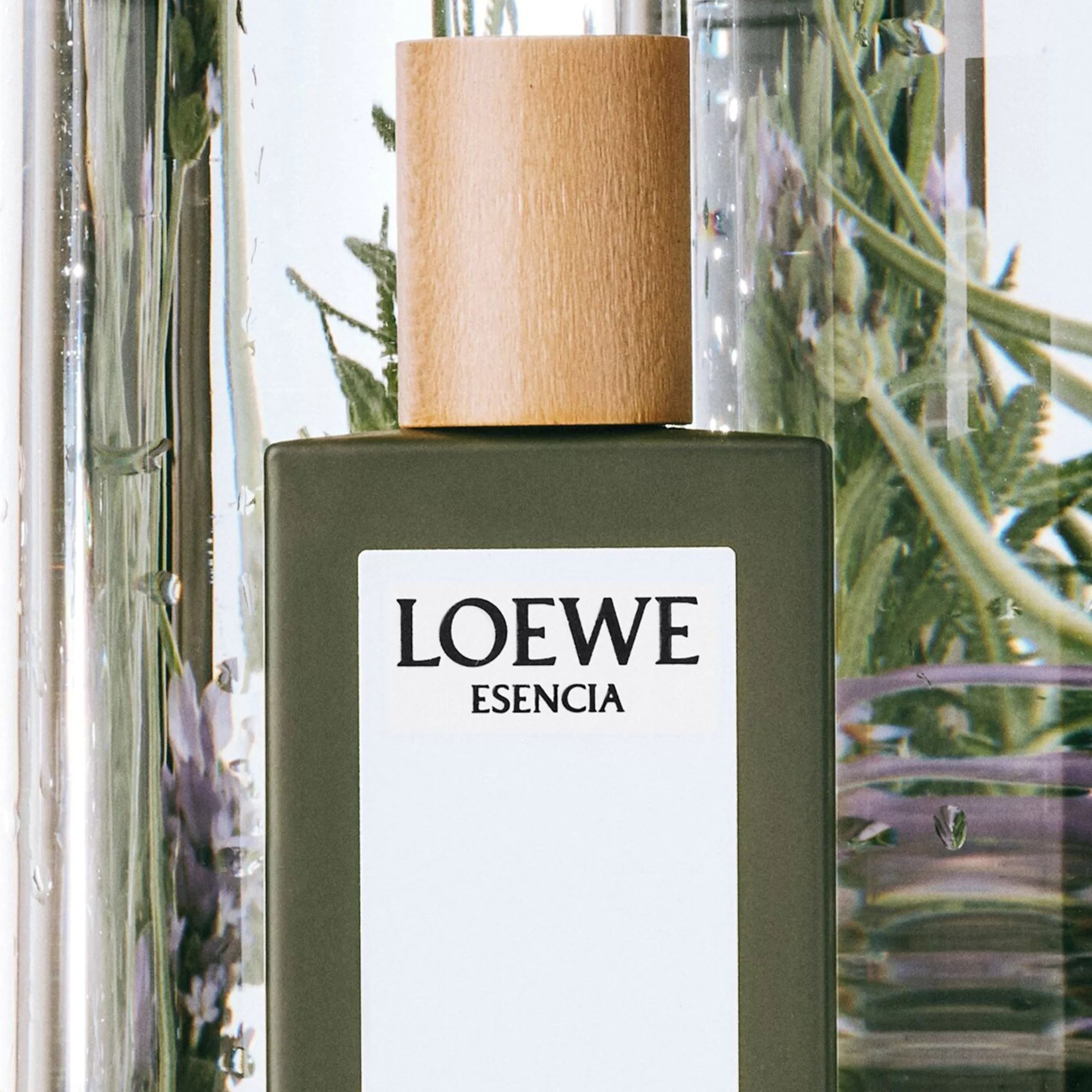Loewe Esencia Pour Homme EDT | My Perfume Shop