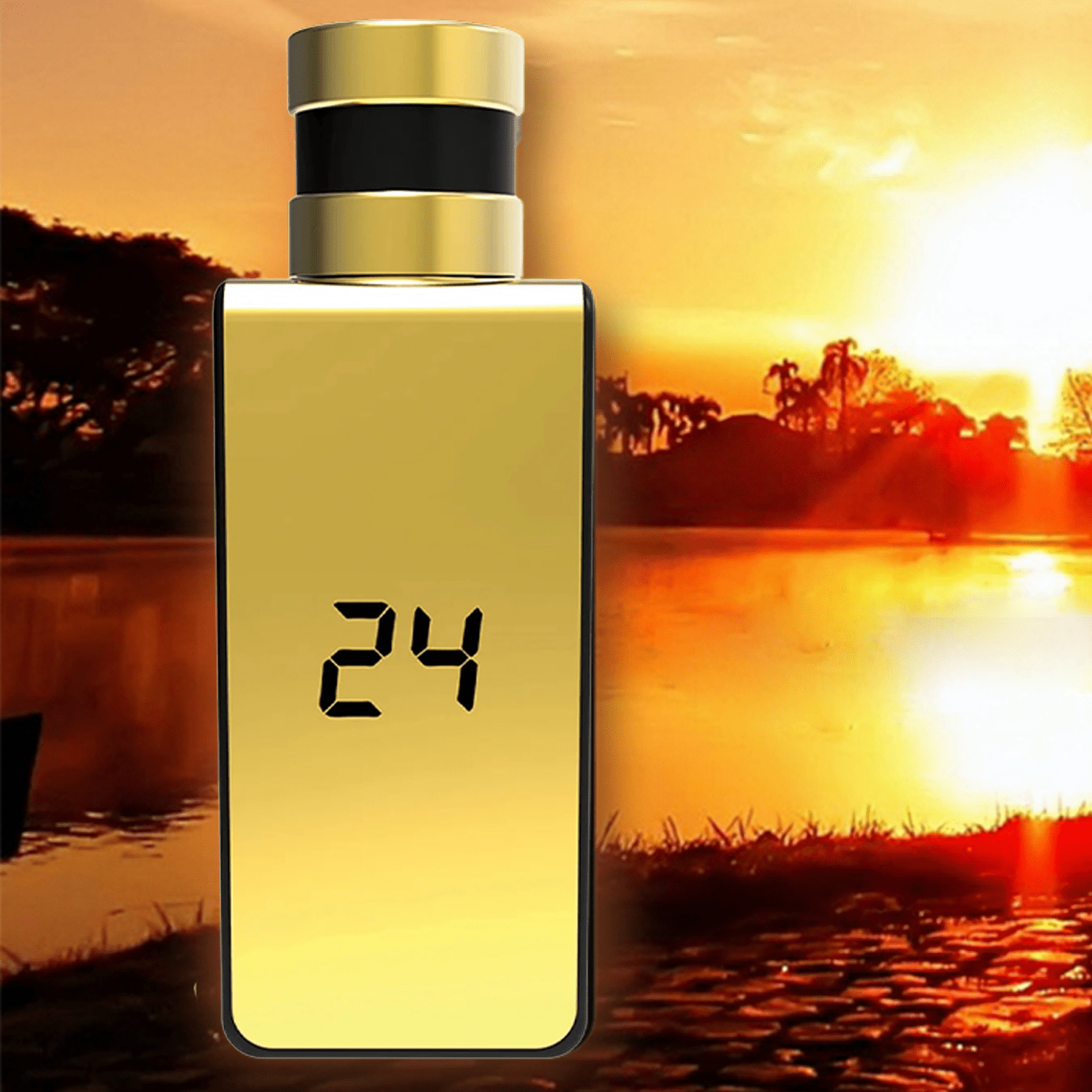 Scentstory 24 Elixir Gold EDP | My Perfume Shop