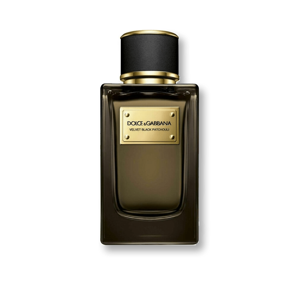 Shop Dolce & Gabbana Velvet Black Patchouli EDP | My Perfume Shop