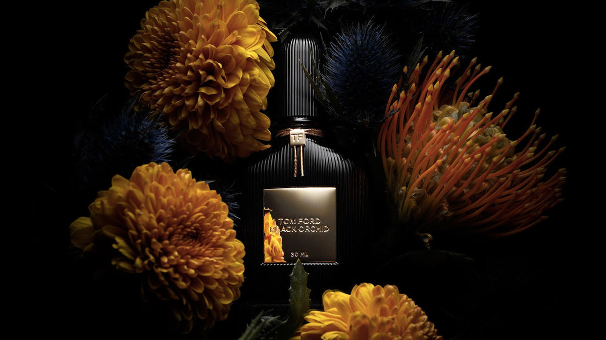 TOM FORD Velvet Orchid vs. Black Orchid: What’s the Difference?