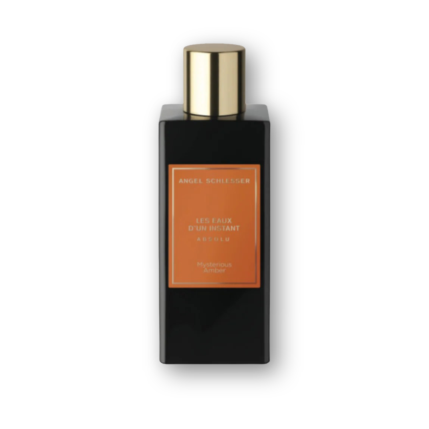 Angel Schlesser les Eaux D'un Instant Absolu Mysterious Amber EDP hero image