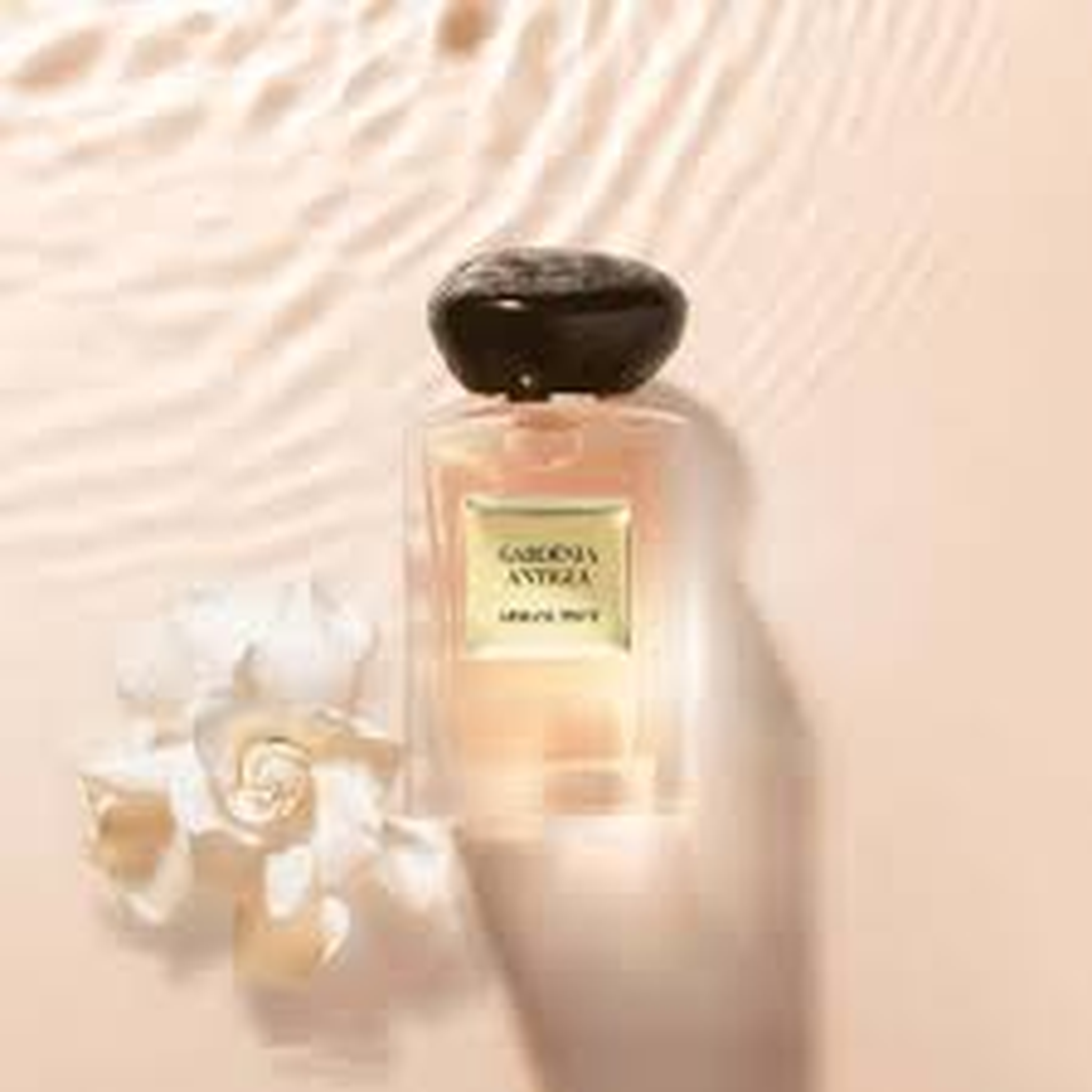 Giorgio Armani Prive Gardenia Antigua EDT fragrance notes image