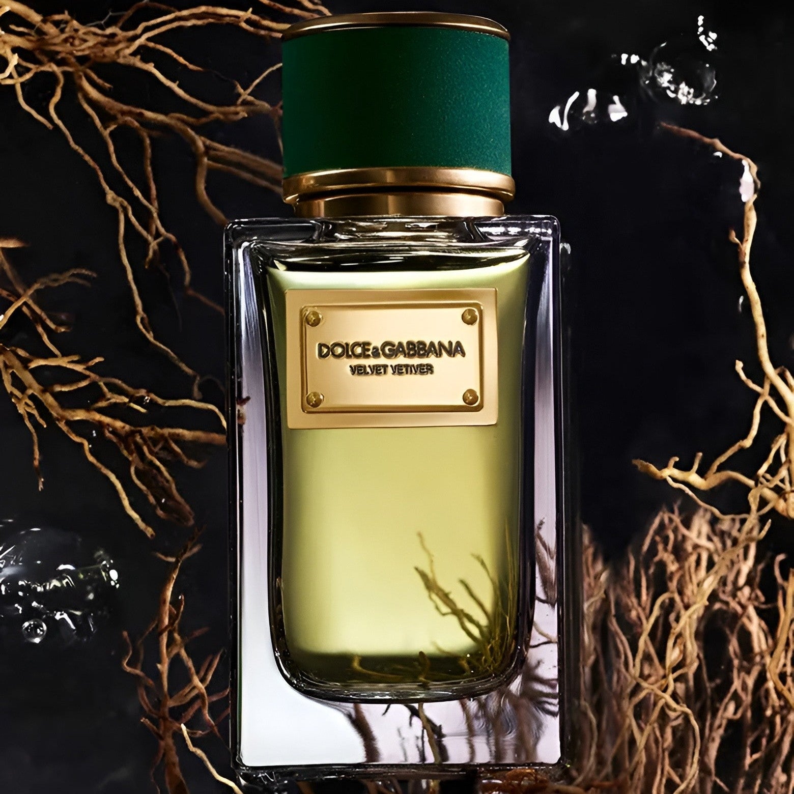 Shop Dolce & Gabbana Velvet Vetiver EDP | My Perfume Shop