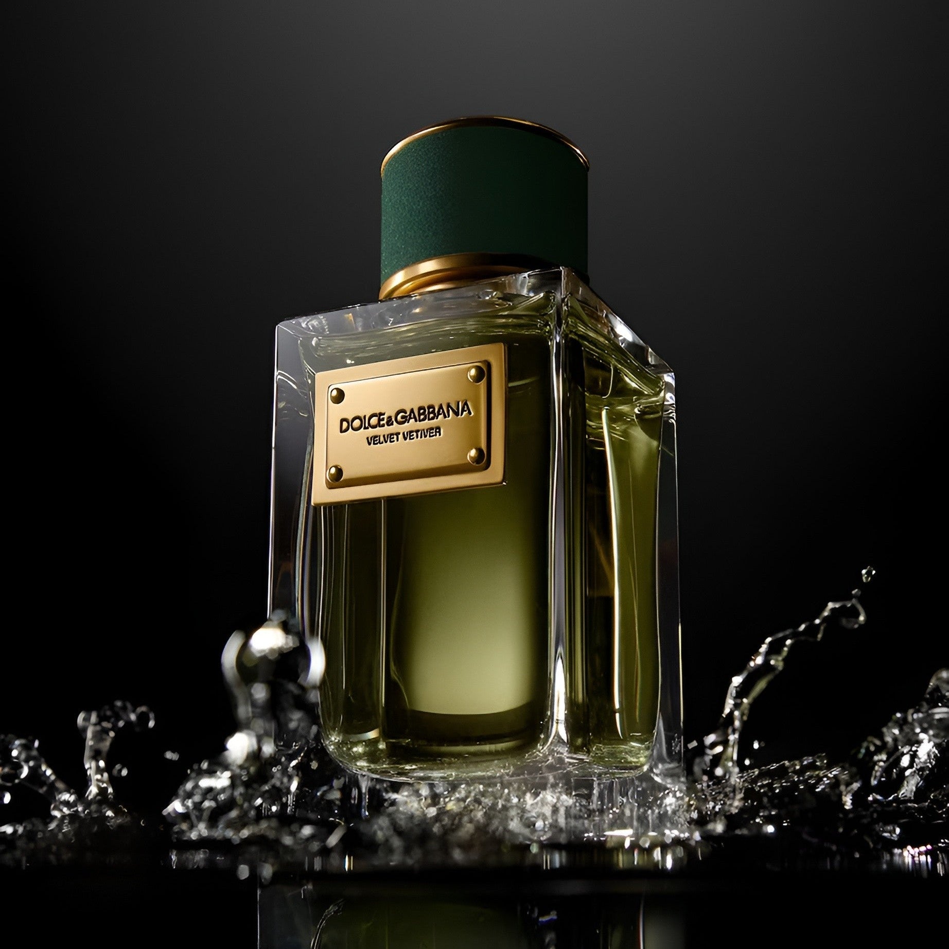 Shop Dolce & Gabbana Velvet Vetiver EDP | My Perfume Shop