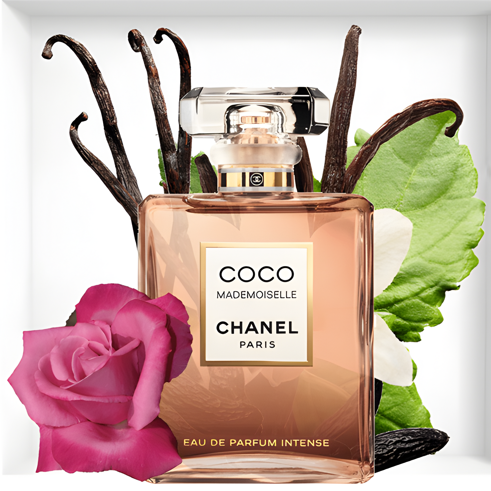shop-chanel-coco-mademoiselle-intense-edp-my-perfume-shop