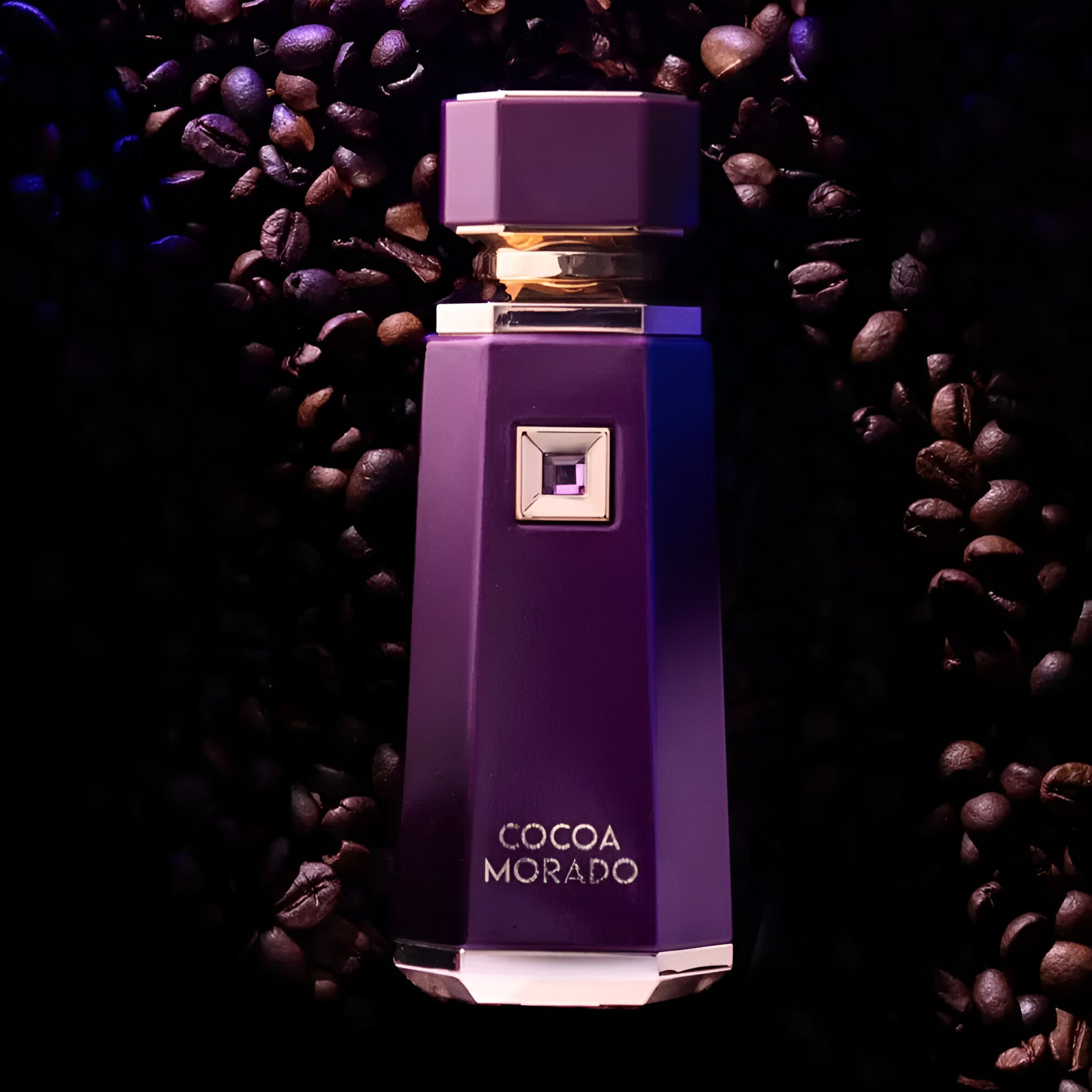 Shop French Avenue Cocoa Morado EDP | My Perfume Shop