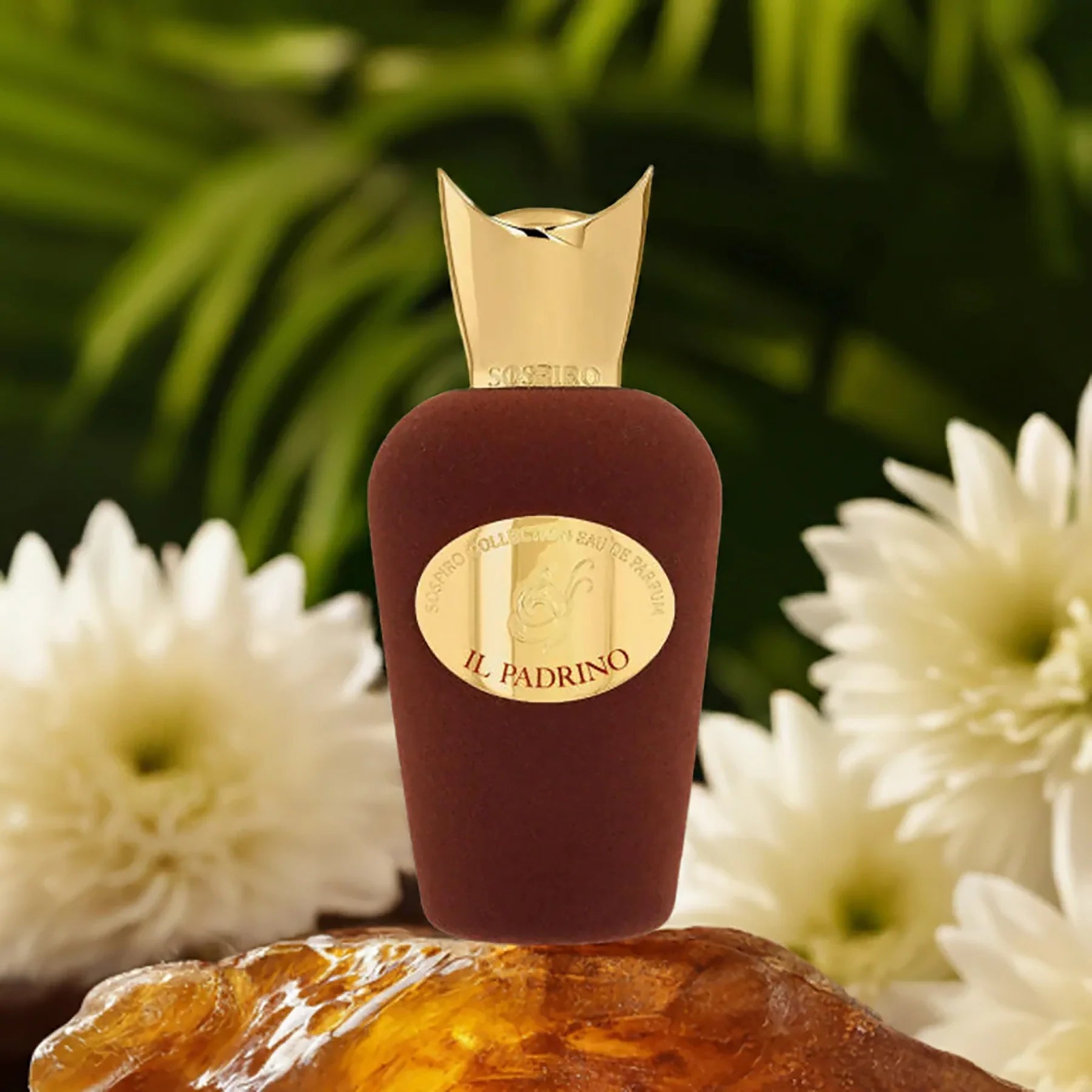Shop Sospiro Il Padrino EDP | My Perfume Shop