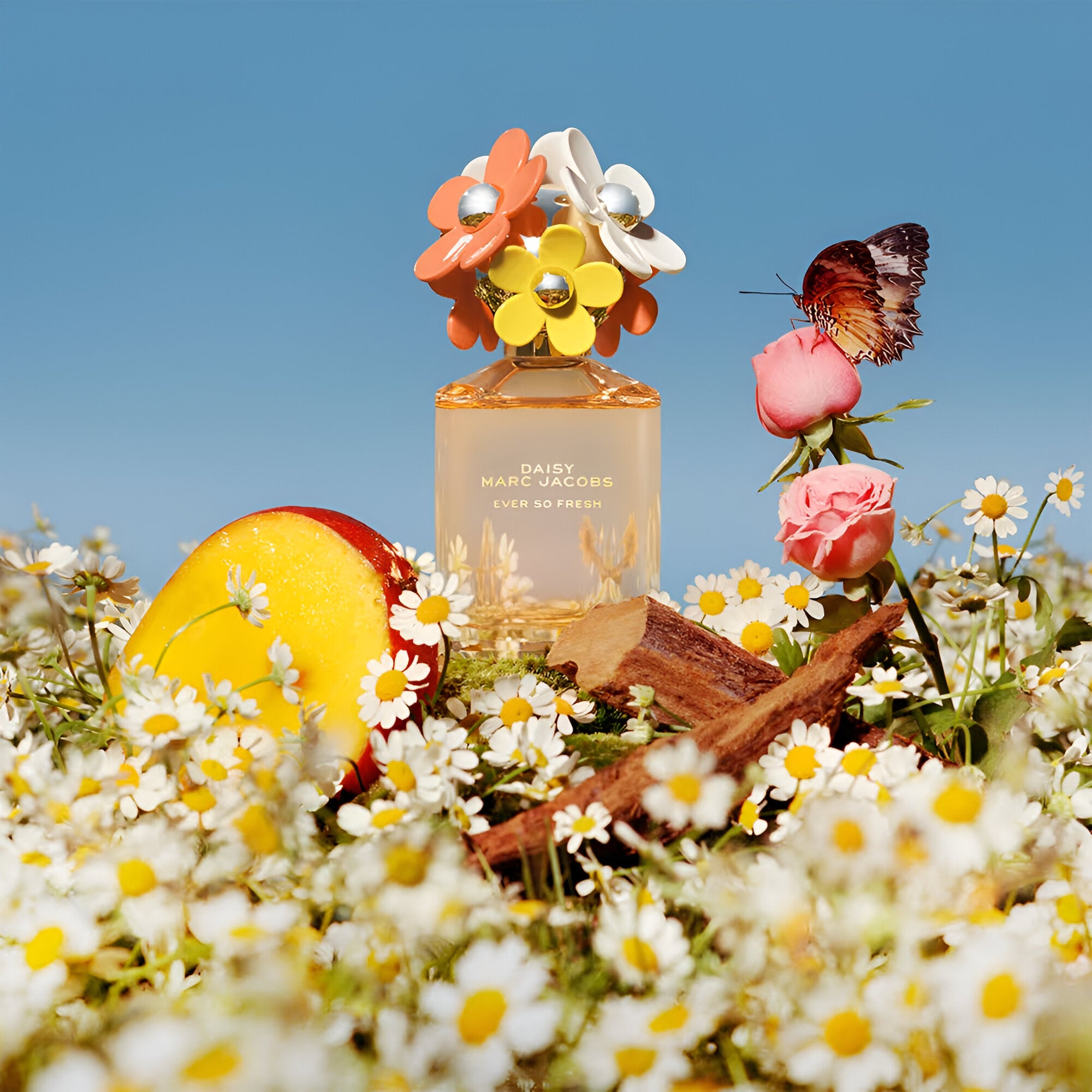 Marc Jacobs Daisy Eau So Fresh EDT Gift Set | My Perfume Shop