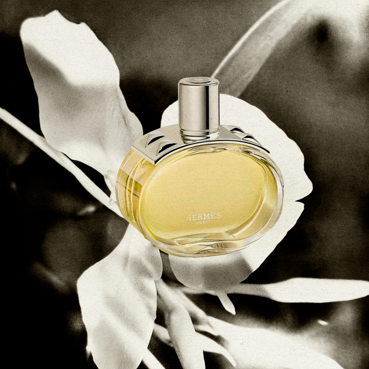 Hermes Barenia EDP