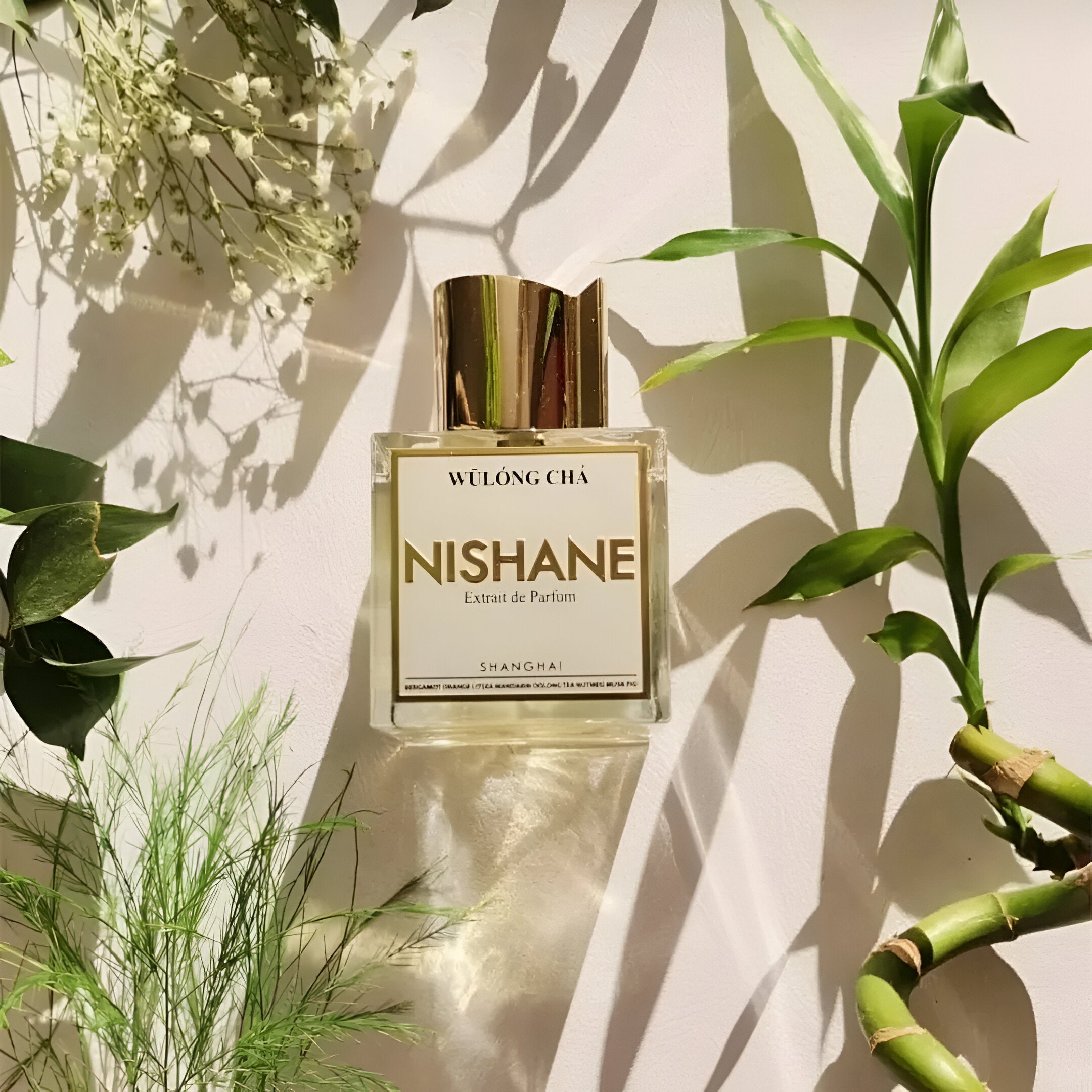 Nishane Wulong Cha EDP Hair Perfume Set for Women | My Perfume Shop