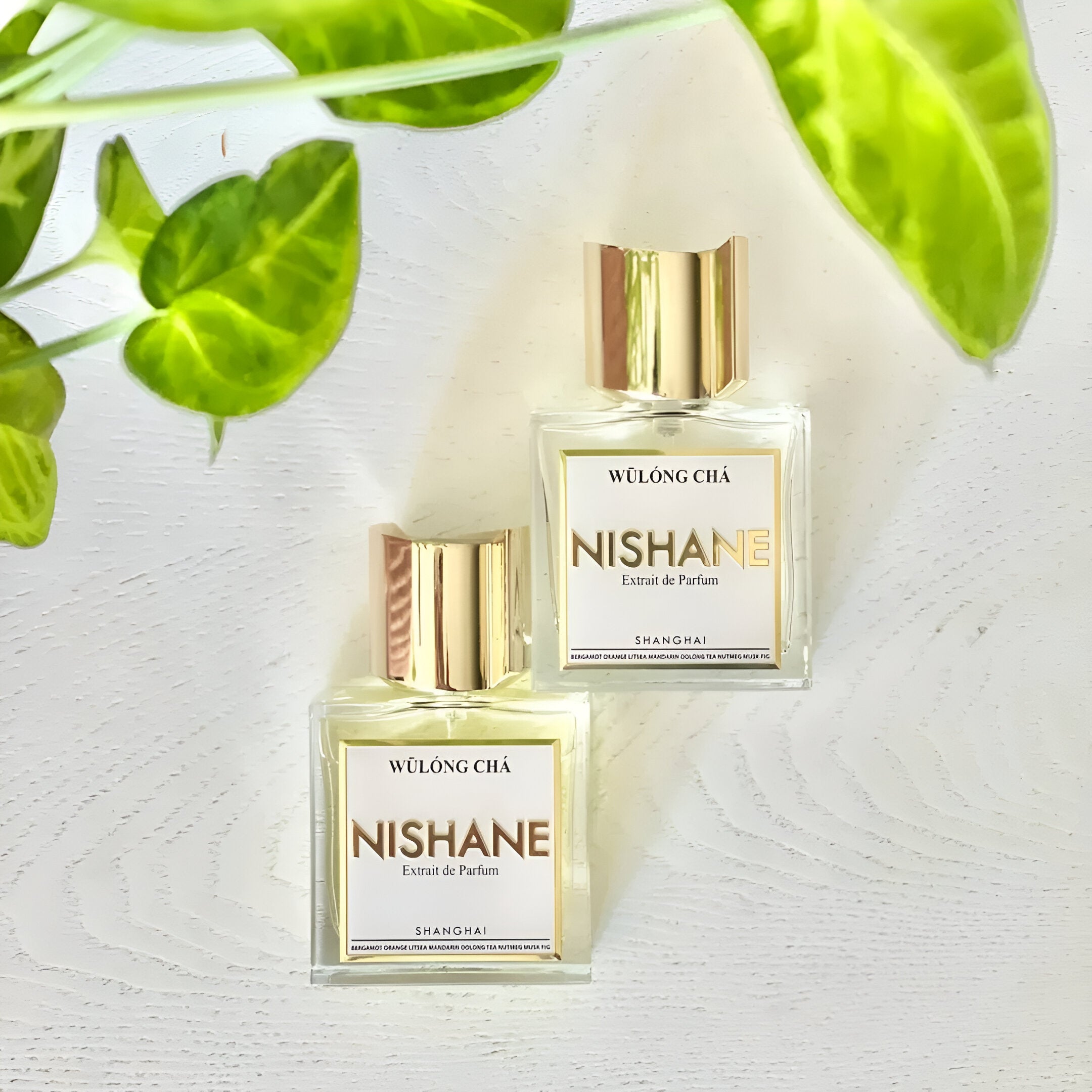 Nishane Wulong Cha EDP Hair Perfume Set for Women | My Perfume Shop